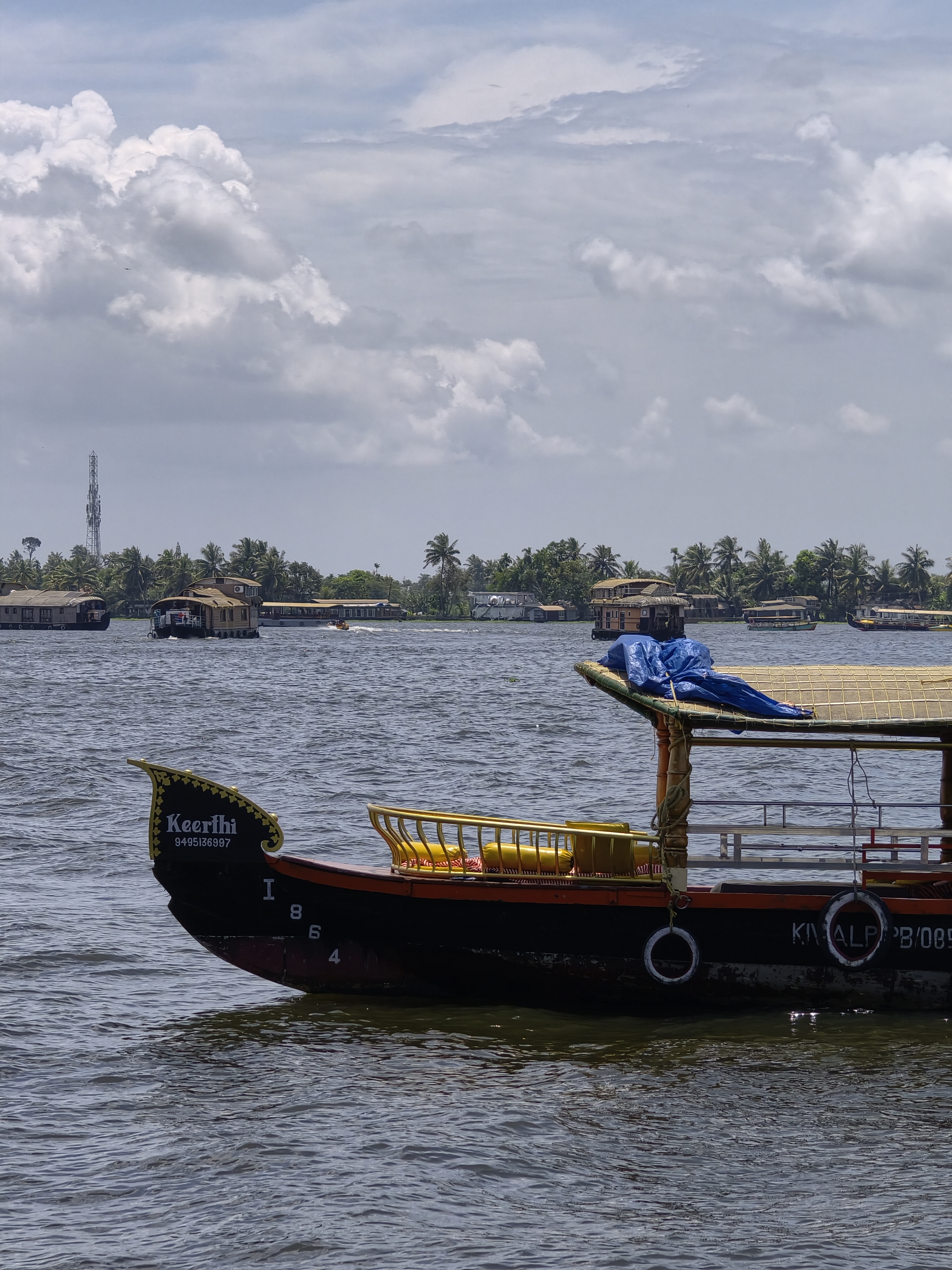 Shikara cruise through the Alappuzha backwaters